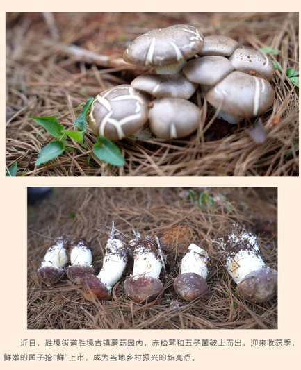 微信截图_20250418205338