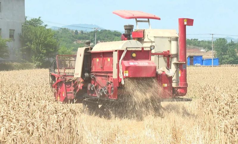 binary_large (1).jpg