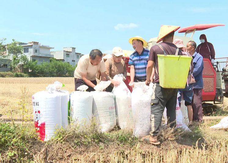 binary_large (2).jpg