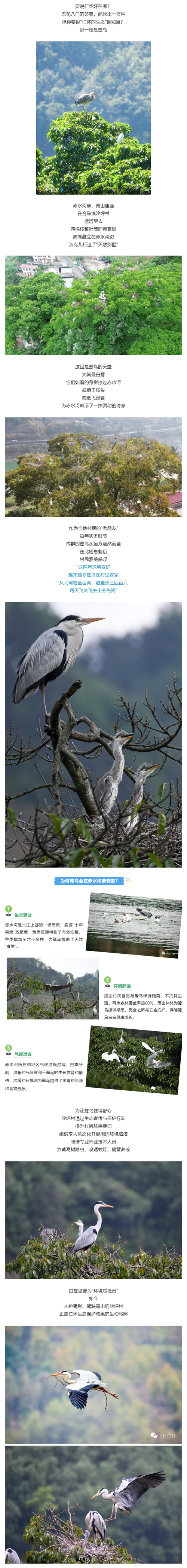 仁怀的好，鹭知道