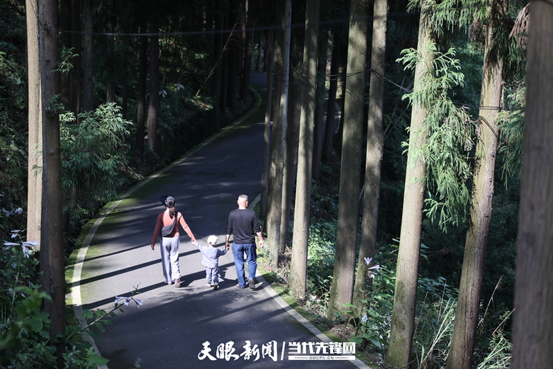 游客在甘溪森林公园游玩。石银超 摄.jpg