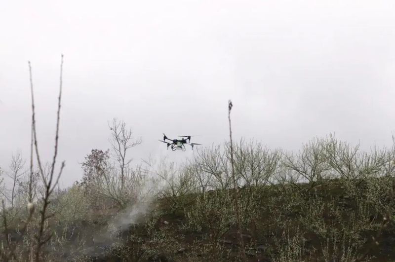 植保无人机演示喷洒农药（郭黎潇 摄）.jpg