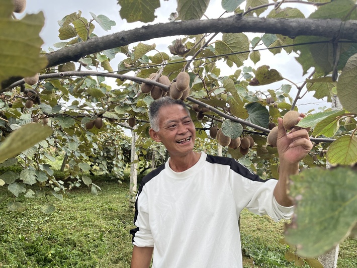 杨武乡:猕猴桃挂满枝 丰收图景绘振兴_ -FZ10021264134.jpg