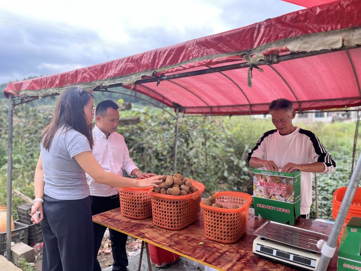 杨武乡:猕猴桃挂满枝 丰收图景绘振兴_ -FZ10021264138.jpg