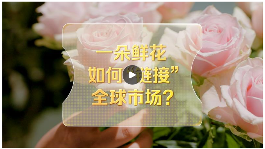 截图20251117090458 截图20251117090458